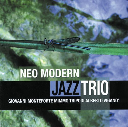 Neo Modern Jazz Trio